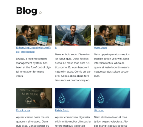 A webpage showing a blog with images and text columns.